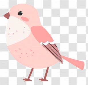 Cute Bird - Adorable Pink Bird With Soft Features Transparent PNG