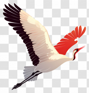 Crane Flying - Flying Pelican Illustration Transparent PNG