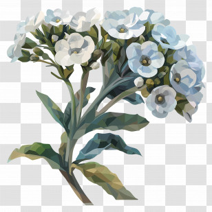 Digital Flower Art - Elegant White Flowers Transparent PNG