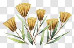 Cartoon - Yellow Flowers Illustration Transparent PNG
