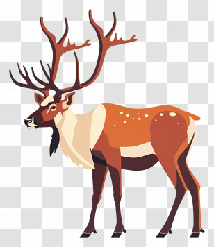 Reindeer - Illustrated Deer With Antlers Transparent PNG
