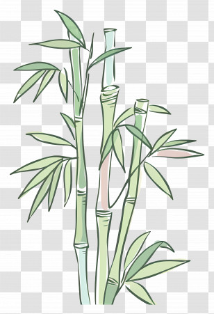 Bamboo - Illustration Of Bamboo Stalks With Leaves Transparent PNG