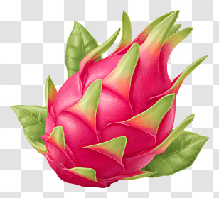 Stay Fresh - Vibrant Dragon Fruit Illustration Transparent PNG