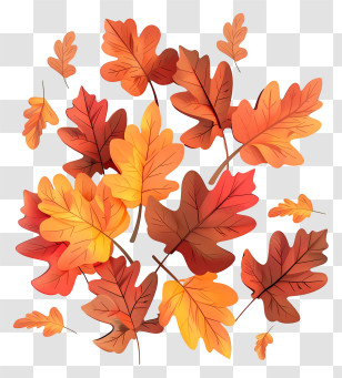 Autumn Leaves - Autumn Colored Leaves Illustration Transparent PNG
