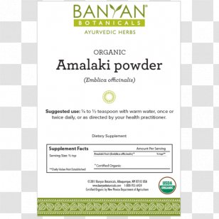 Organic Food Myrobalan Terminalia Bellirica Certification Triphala - Indian Bdelliumtree - Health Transparent PNG