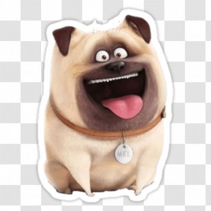 Pug Mel Jack Russell Terrier Cat Snowball - Dog Breed Transparent PNG