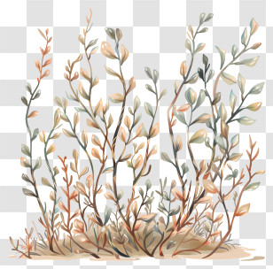 Bushes - Bushy Plants Illustration Transparent PNG