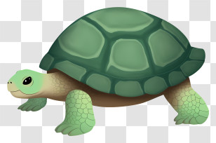 Green Turtle - Adorable Green Turtle Cartoon Illustration Transparent PNG