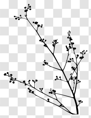 Flower Silhouette - Minimalist Black Tree Branch Silhouette Transparent PNG