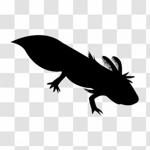 Mole Cartoon - Rubber Stamping - Tail Lizard Transparent PNG