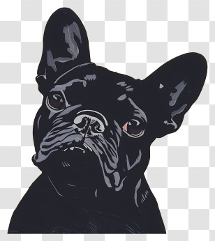 French Bulldog - Stylized Black French Bulldog Portrait Transparent PNG