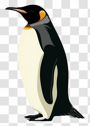 Penguin - Elegant King Penguin Illustration Transparent PNG