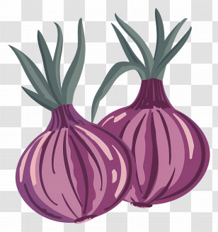 Onions - Purple Onions Illustration Transparent PNG