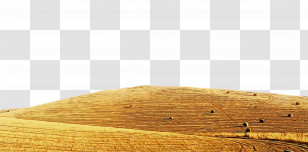 Landscape Soil Ecoregion /m/083vt Hill Transparent PNG