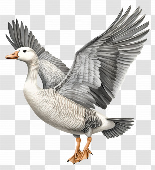 Grey Goose - Flying Goose With Spread Wings Transparent PNG
