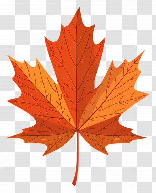 Maple Leaf - Vibrant Orange Maple Leaf For Autumn Season Transparent PNG