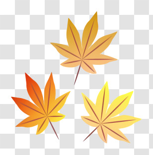 Autumn Leaves - Beautiful Autumn Leaves In Seasonal Colors Transparent PNG