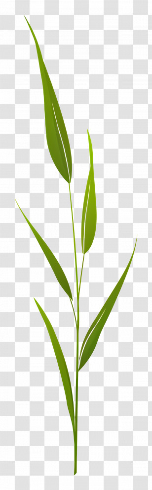 Grass Blade - Tall Green Bamboo Stem With Leaves Transparent PNG