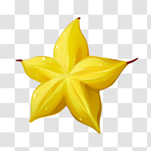Starfruit - Bright Yellow Star Fruit Illustration Transparent PNG