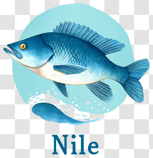 Nile Logo - Blue Nile Fish Illustration Transparent PNG