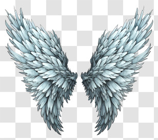 Doodle Angel Wings - Detailed Angel Wings Illustration Transparent PNG