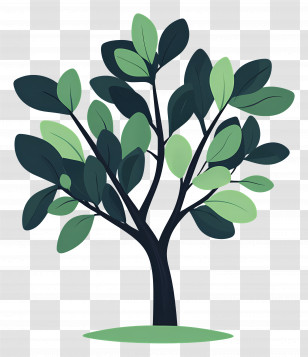 Simple Tree - Green Tree Illustration Design Transparent PNG