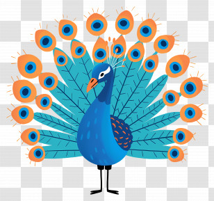 Cartoon Peacock - Peacock With Vibrant Tail Feathers Transparent PNG