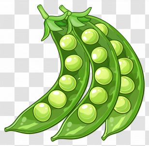 Peas - Fresh Green Pea Pods Illustration Transparent PNG
