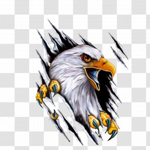 Car Mile High Harley-Davidson Motorcycle Decal - Fauna - Eagle Transparent PNG