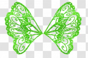 Flora Tecna Musa Bloom Butterflix - Winx Club - Youtube Transparent PNG