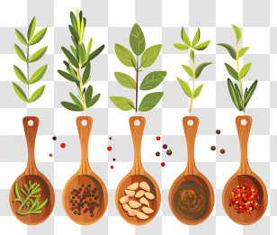 Spices - Herbs And Spices In Wooden Spoons Transparent PNG