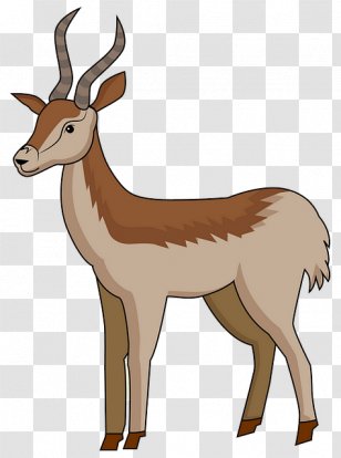 Antelope Wildlife Deer Gazelle Cow-goat Family - Pronghorn - Roe Transparent PNG