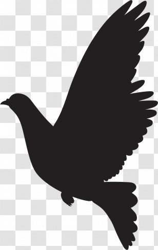Wedding Silhouette Clip Art Sticker - Water Bird Transparent PNG