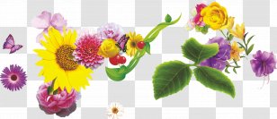 Floral Design Chrysanthemum Flower Chamomile - Plant Transparent PNG