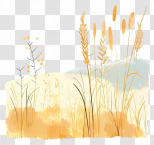 Golden Fields - Yellow Grass And Wild Plants Illustration Transparent PNG