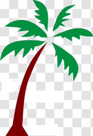 Arecaceae Clip Art - Date Palm - Coconut Tree Transparent PNG