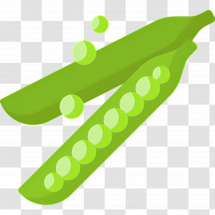 Green Peas - Fresh Green Peas In Pod Illustration Transparent PNG