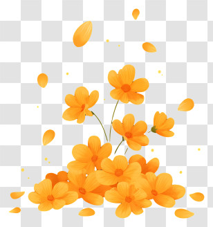 Marigold Petals - Orange Flower Bouquet Transparent PNG