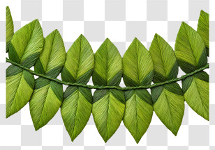 Handwoven Thoranam - Green Leaf Garland Decoration Transparent PNG