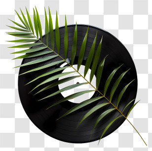 Vinyl Record - Vinyl Record With Palm Leaf Transparent PNG