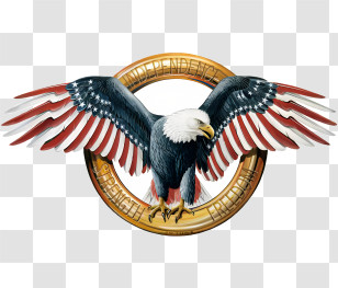 Eagles Logo - Bald Eagle Illustration With Patriotic Theme Transparent PNG