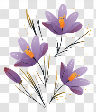 Saffron Flowers - Purple Crocus Flowers In Detailed Illustration Transparent PNG