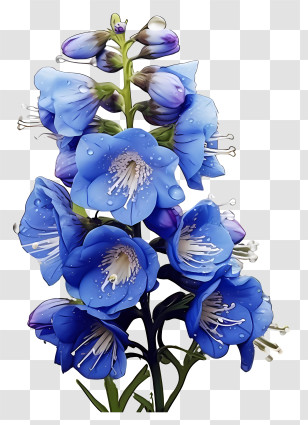 Minimalized Flat Vector Illustrate - Beautiful Blue Bell-Shaped Flowers With Raindrops Transparent PNG