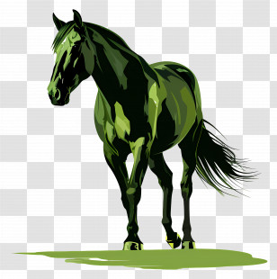 Horse - Stylized Green Horse Illustration Transparent PNG