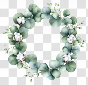 Eucalyptus Wreath - Eucalyptus Wreath With Cotton And Green Leaves Transparent PNG