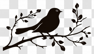 Bird Branch Silhouette - Bird Silhouette Perched On A Branch Transparent PNG