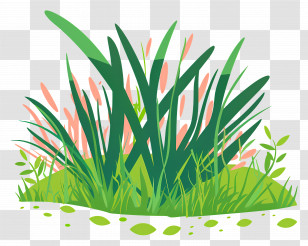 Grass Patch - Lush Green Grass And Wild Flowers Illustration Transparent PNG