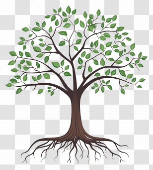 Tree With Roots - Tree With Roots And Leaves Illustration Transparent PNG