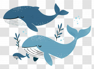 Cute Whale - Cartoon Illustration Of Blue Whales Transparent PNG
