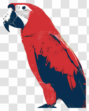 Parrot - Bright Red Parrot In Artistic Illustration Style Transparent PNG